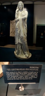 Pudicita