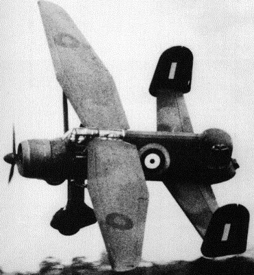 lysander1.jpg