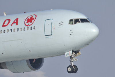 g4/49/599049/3/133265102.ulK5w1mH.jpg