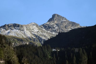 Mettmen mit Schwarz Tschingel