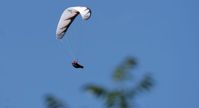 Gleitschirmflieger / paraglider