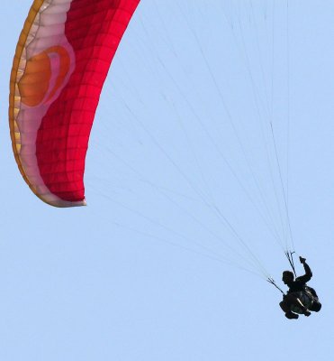 paraglider