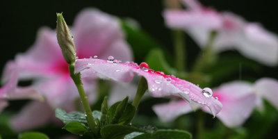 a rainy day...