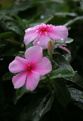 a rainy day...