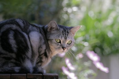 Lucy