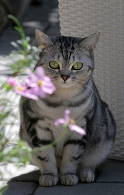 Lucy