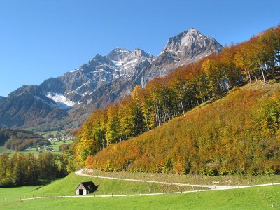 Blick zum Vorderglrnisch und Vreneli's Grtli