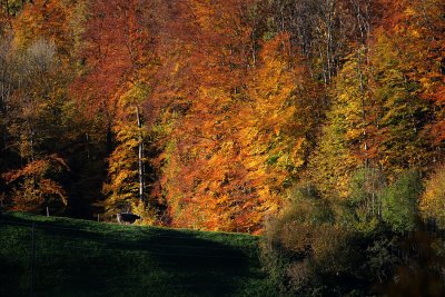 Blick vom Balkon