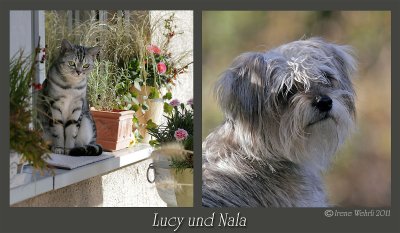 Lucy und Nala