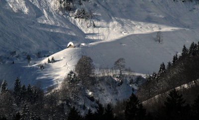 Guppen Mittelstafel