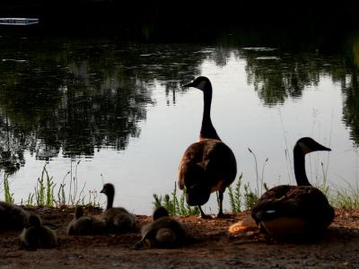 Family by the water