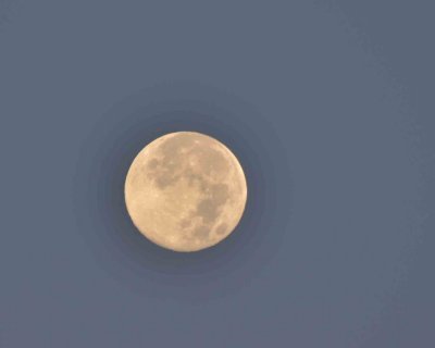 moon over PI DSC_2923.jpg