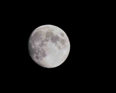 moon over home DSC_2912.jpg