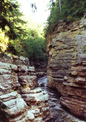 ausable chasm 8.jpg