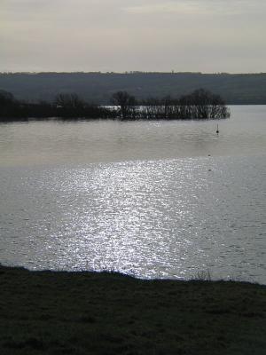 Marsh