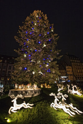 IMG_3735 copie.jpg