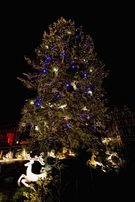 IMG_3728 copie.jpg