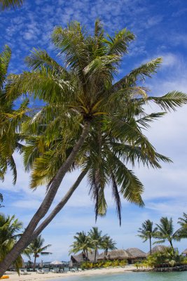 Bora Bora