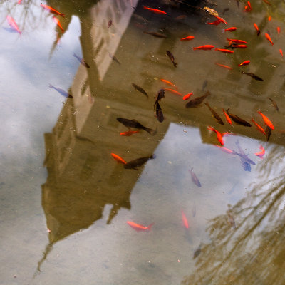 Reflection of Iglesia de Santa Maria, Alhambra