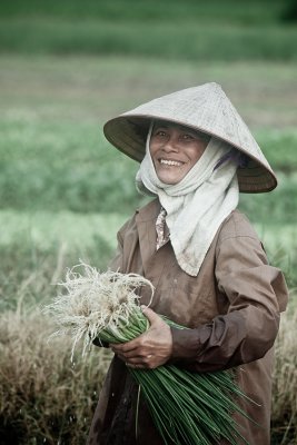 Picking spring onions with a smile