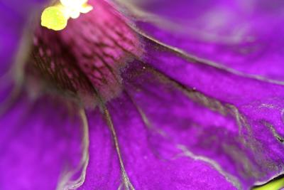 IMG_5757.jpg