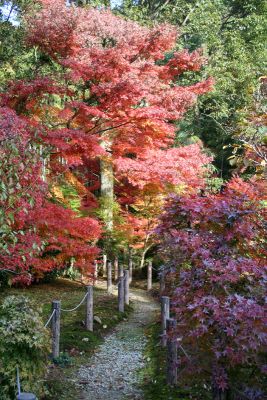 Kyoto Garden