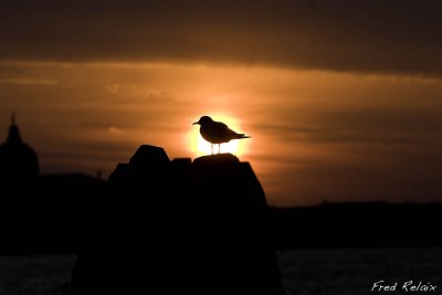 IMG_0548-Modifier.jpg