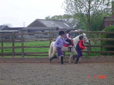 First lesson and first trot!