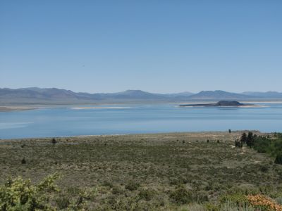 IMG_0240.JPG