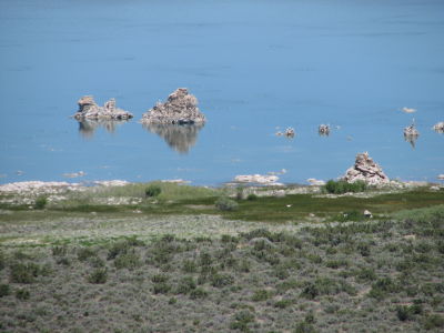 IMG_0242.JPG