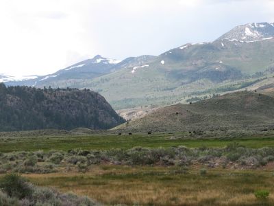 IMG_0287.JPG