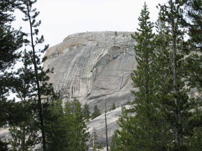 IMG_0300.JPG