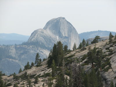 IMG_0309.JPG