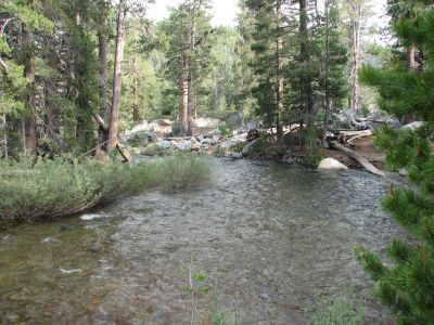 Yosemite Creek