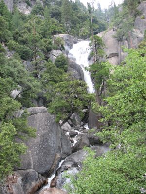 IMG_0336.JPG