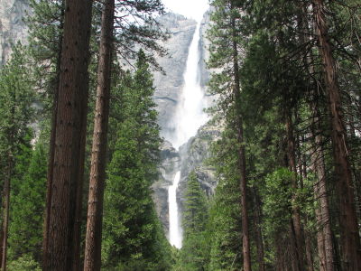 IMG_0397.JPG