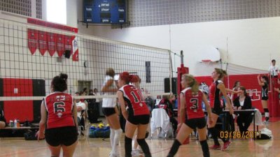volleyball 003.jpg
