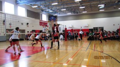 volleyball 005.jpg