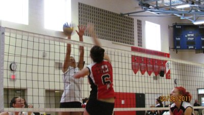 volleyball 029.jpg