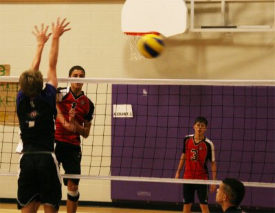 Image-10.jpg