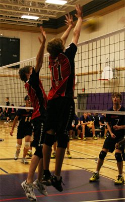 Image-16.jpg