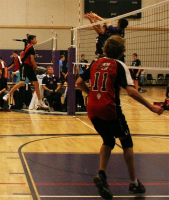 Image-19.jpg