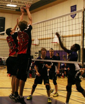 Image-21.jpg