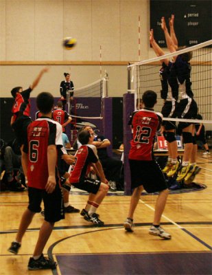 Image-24.jpg