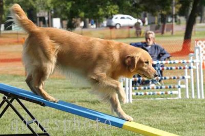 2010_09_18_0134.jpg
