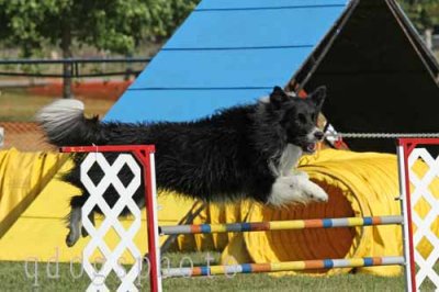 2010_09_18_0137.jpg
