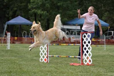 2010_09_18_0358.jpg