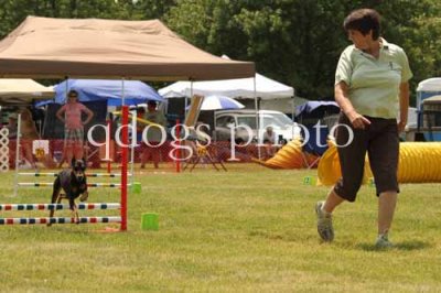 Steeplechase 1