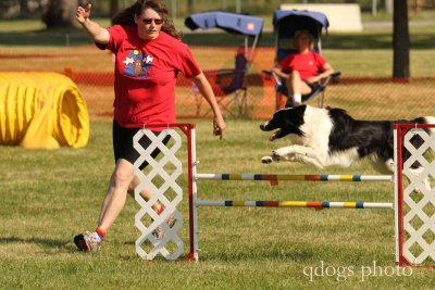 Agility People & Dogs