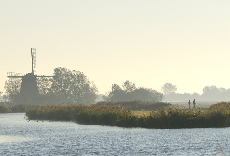 Molen De Havik